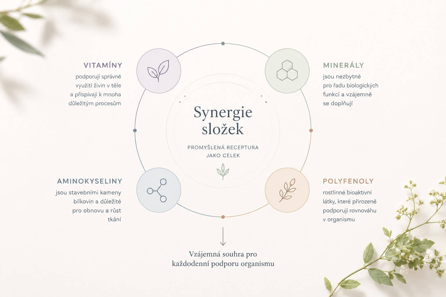 Synergie složek pro zdraví